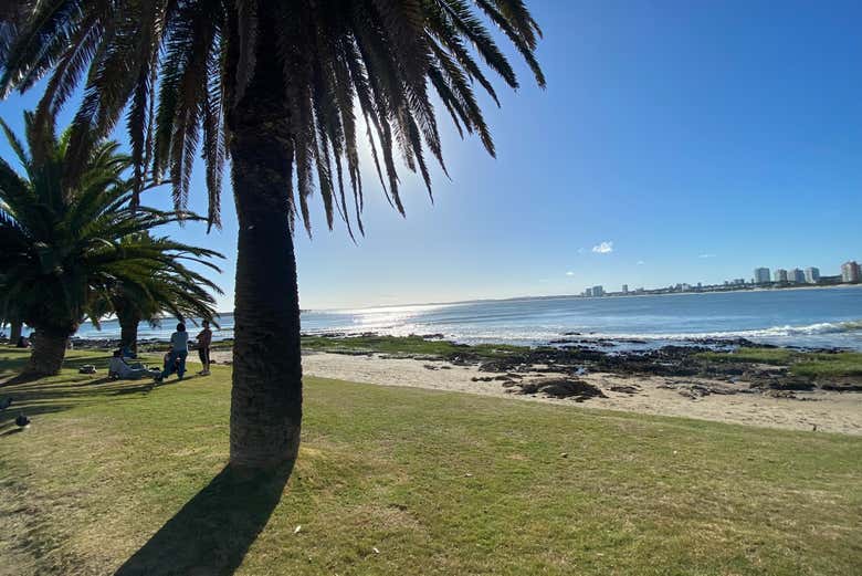 Rambla de Punta del Este