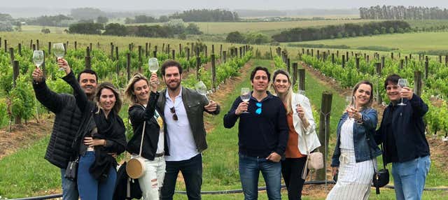 Tour privado de queijos e vinhos por Punta del Este