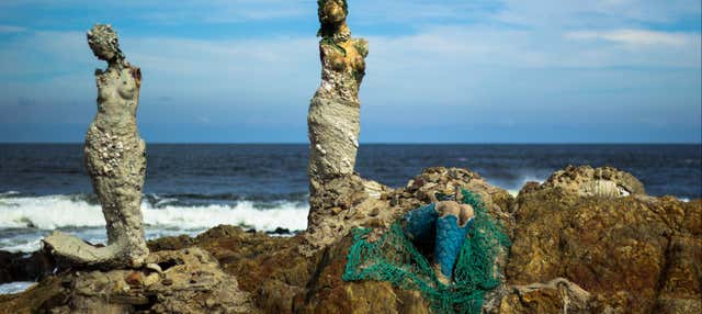 Visita guiada por Punta del Este