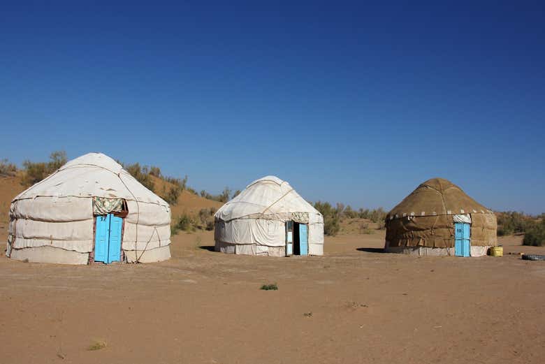 At the desert yurt camp