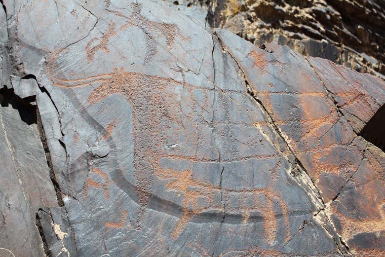 The petroglyphs of Kyzylkum