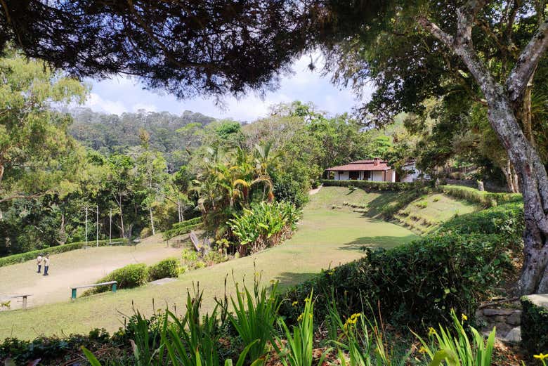 Immerse yourself in the lush nature of Venezuela