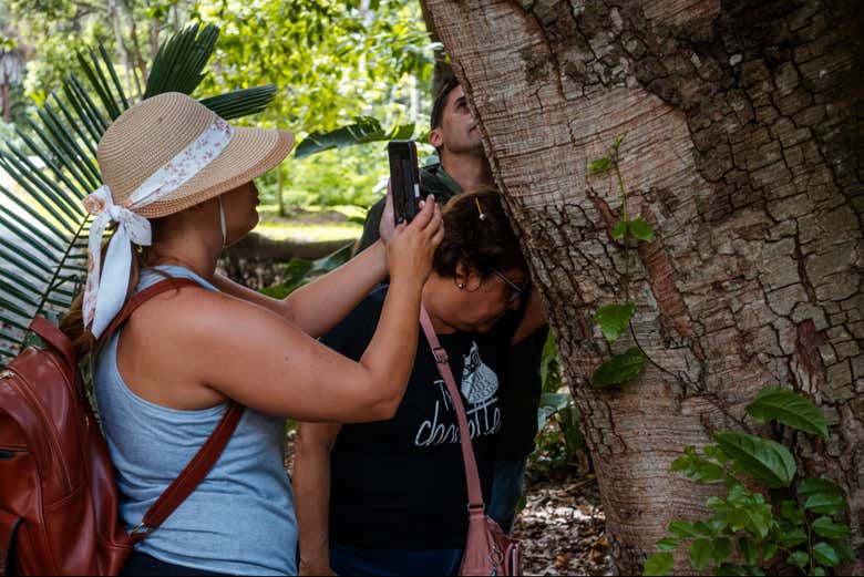 Descubriremos la flora del Parque Nacional Warairarepano