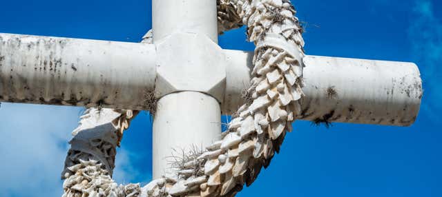 Visita guiada pelo Cemitério General del Sur