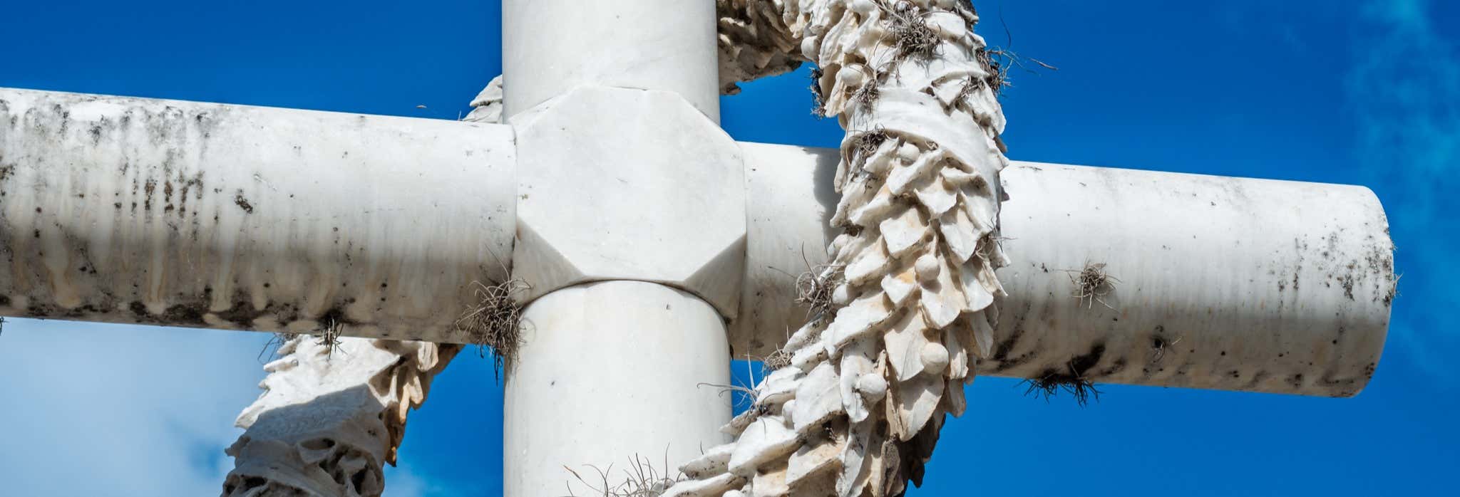 Visitas guiadas y free tours en Caracas