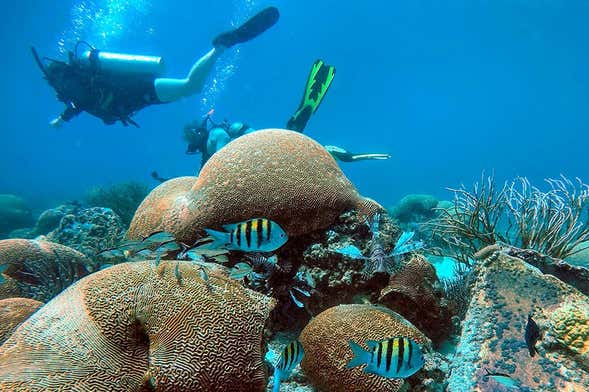 Immersione nell'arcipelago di Los Frailes