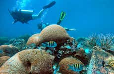 Immersione nell'arcipelago di Los Frailes
