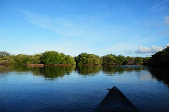 Balade en kayak à Laguna de La Restinga