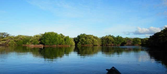 Balade en kayak à Laguna de La Restinga