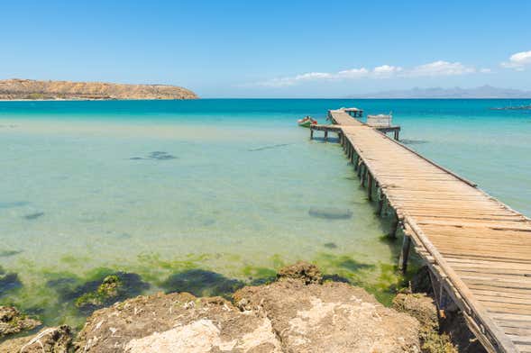 Excursión a la isla de Coche en catamarán