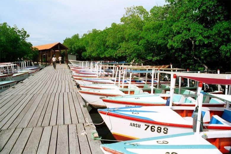 Embarcadero de Macanao