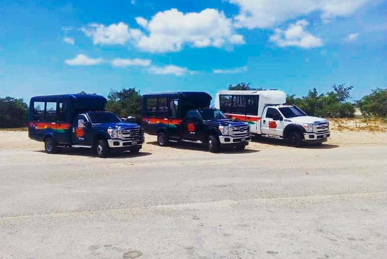 Viajaréis en cómodos vehículos 