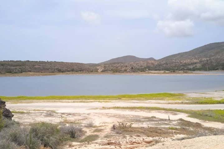 Lagune de Boca Chica 