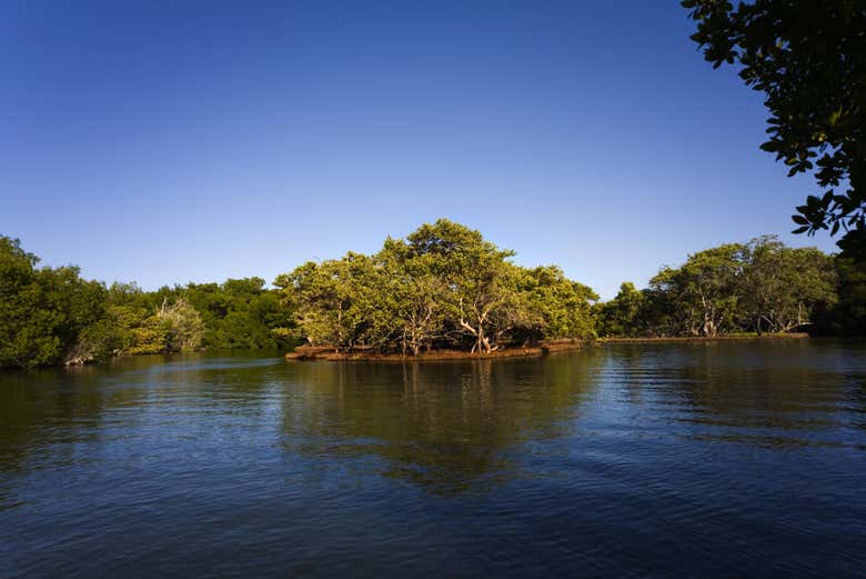 Laguna de La Restinga