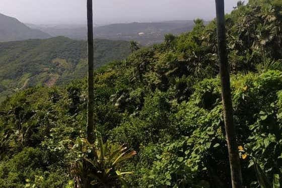 Belvedere del monte Tacarigua
