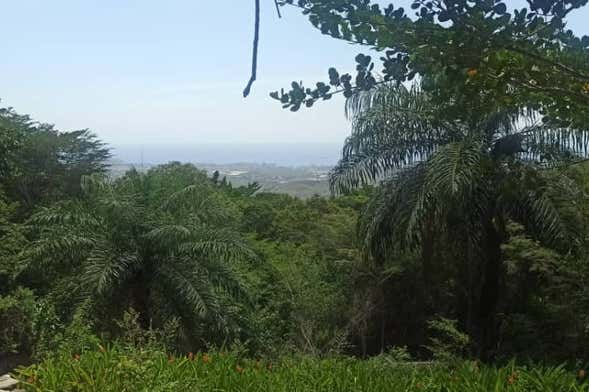 Visite dans La Asunción + Randonnée dans La Sierra