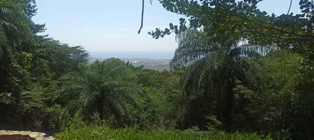 Tour por La Asunción + Trekking por La Sierra