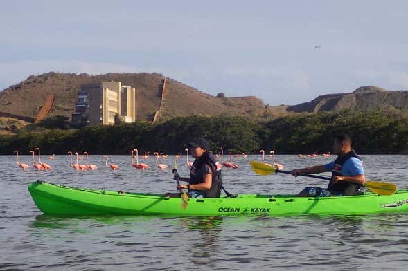 Tour della Laguna El Morro in kayak