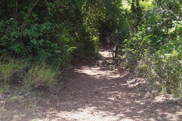 Tacarigua Hike + Lunch on Zaragoza Beach