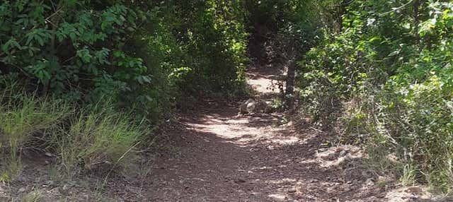 Randonnée à Tacarigua + Déjeuner sur la plage de Zaragoza