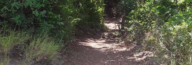 Excursiones de un día en Porlamar