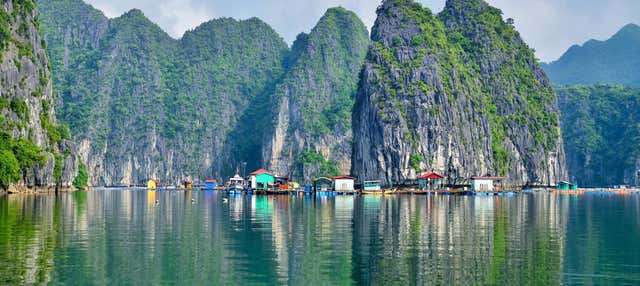 Excursión a las bahías de Ha Long y Lan Ha