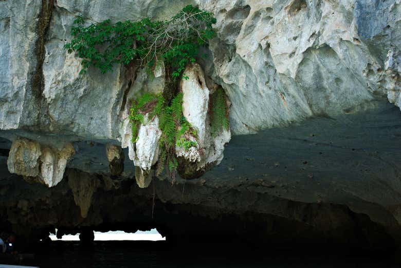 Detalles del techo de la Cueva del murciélago en Lan Ha