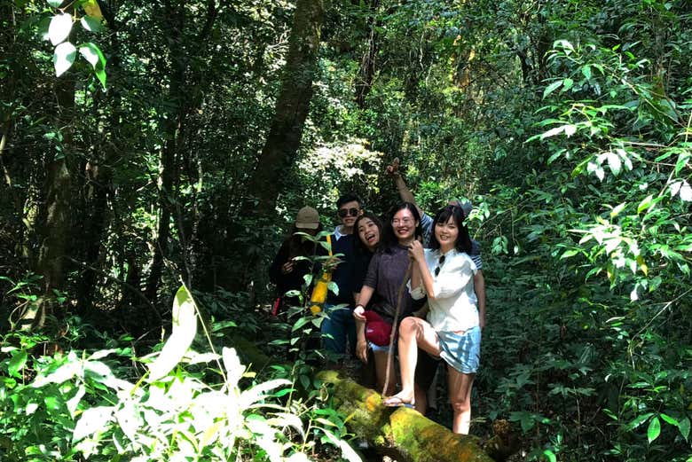 Atravesando el bosque