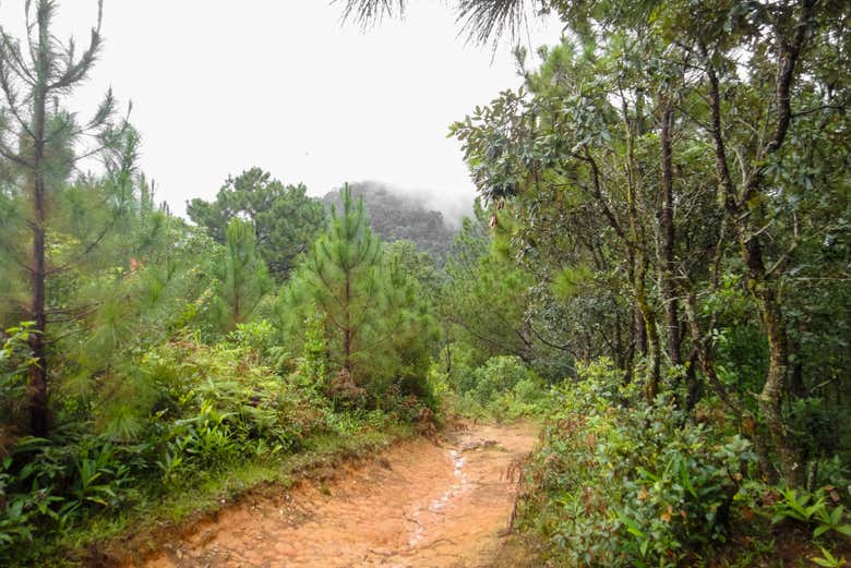 Camino durante la ruta de trekking