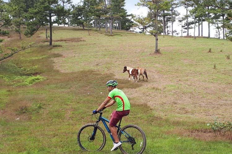 Pédalez à Queue du Dragon