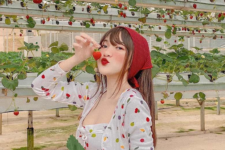 Durante la visita alla piantagione di fragole