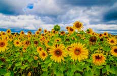 Tour por las afueras de Da Lat