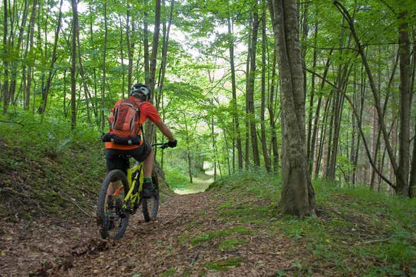 Bidoup-Nui Ba National Park Bike Tour