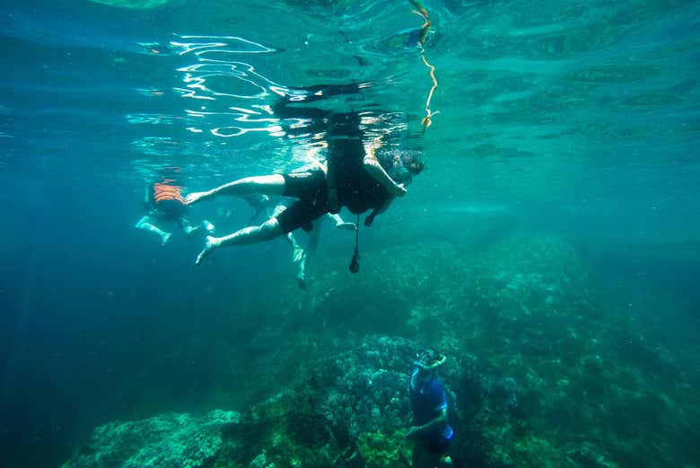 Haciendo snorkel en la Isla Cham