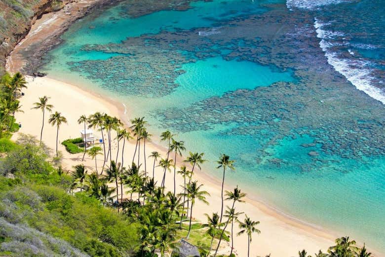 Vista aérea de la isla