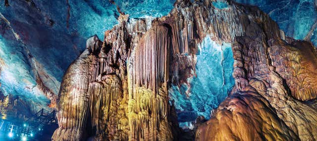 Excursión a Dark Cave y Paradise Cave