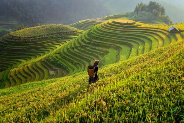 Tour de 2 o 3 días por Sapa con guía en inglés