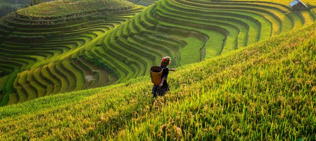 Tour de 2 o 3 días por Sapa con guía en inglés