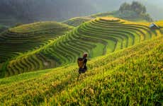 Tour de 2 o 3 días por Sapa con guía en inglés