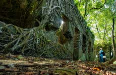 Trekking in Ba Vi National Park