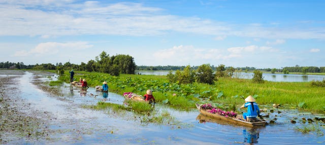 Excursion dans le delta du Mekong en bateau à moteur