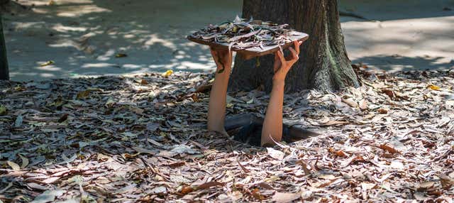 Excursión privada a los túneles de Cu Chi