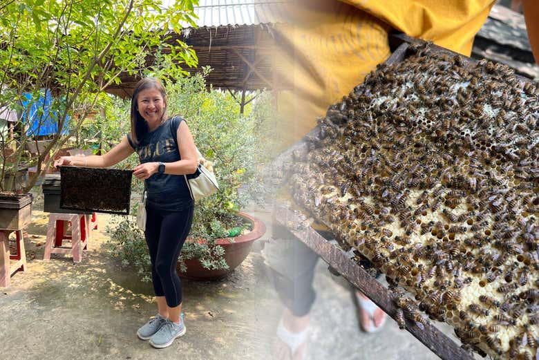 Visitando uma fazenda de apicultura