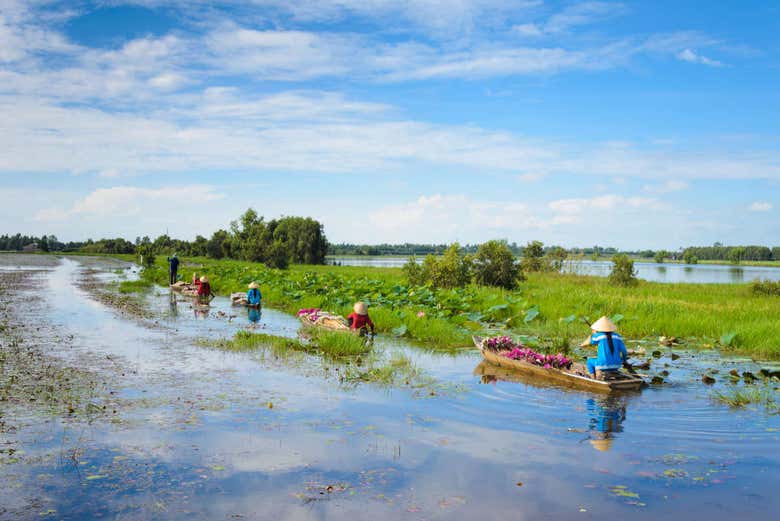 Delta del Mekong