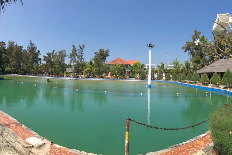 Explore a crocodile farm