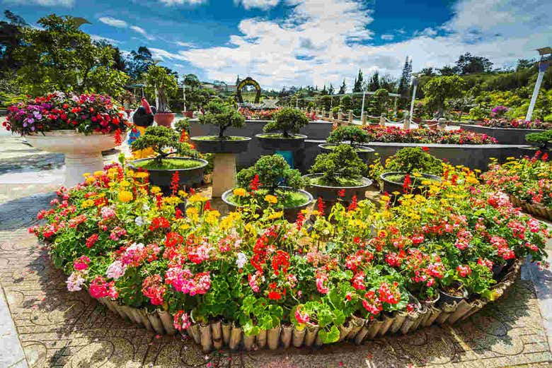 Jardins de Da Lat 