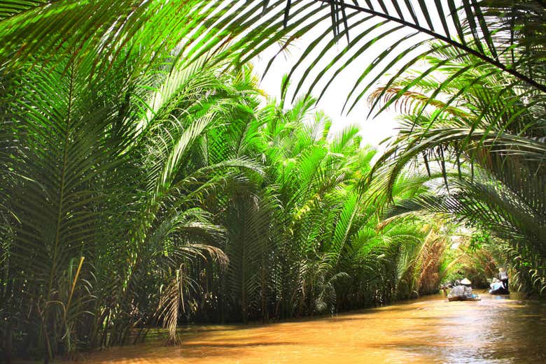 Embarcación en el delta