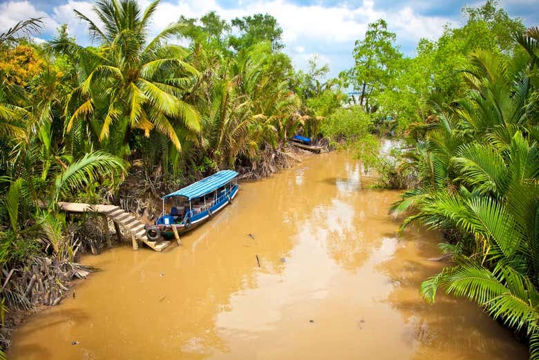 Paisaje en el delta del Mekong