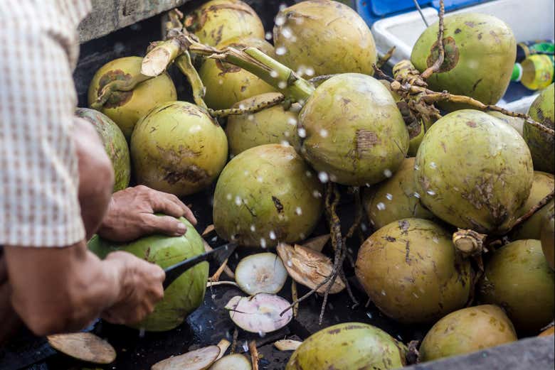 Noix de coco fraîches !