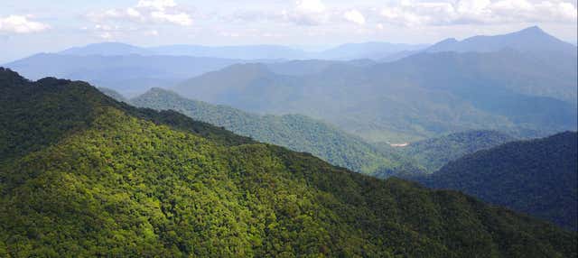 Excursión al Parque Nacional Bach Ma